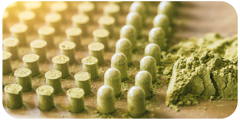 240612-WEBSITE-SOURSOP-54.png
